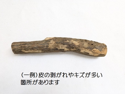 訳あり！国産 自然木止まり木 大（太さ約4.1～6.5cm）各サイズ